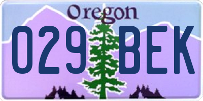 OR license plate 029BEK