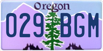 OR license plate 029BGM