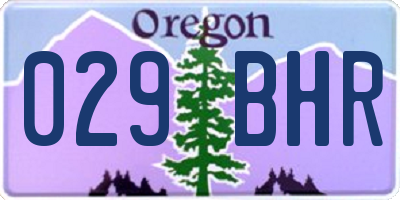 OR license plate 029BHR