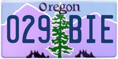 OR license plate 029BIE