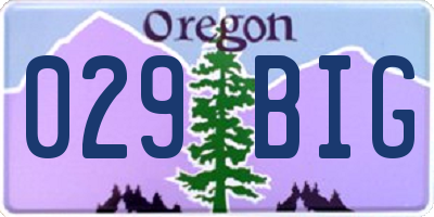 OR license plate 029BIG