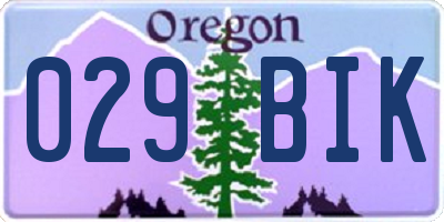 OR license plate 029BIK