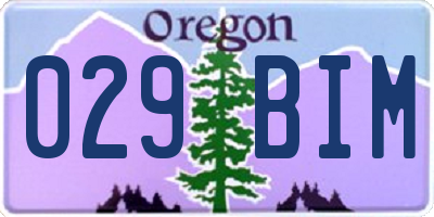 OR license plate 029BIM