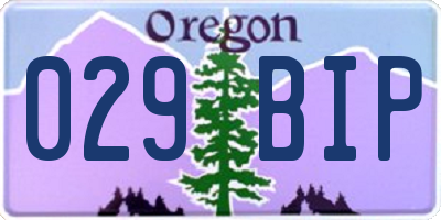 OR license plate 029BIP