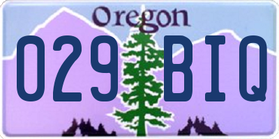 OR license plate 029BIQ