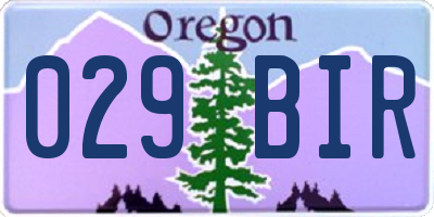 OR license plate 029BIR