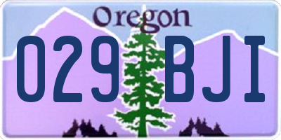 OR license plate 029BJI