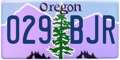 OR license plate 029BJR