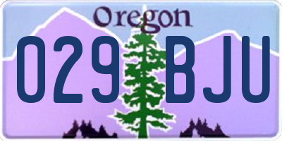 OR license plate 029BJU