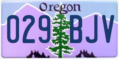 OR license plate 029BJV