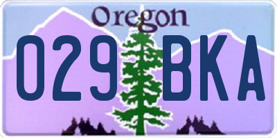 OR license plate 029BKA