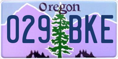 OR license plate 029BKE