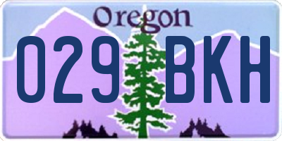 OR license plate 029BKH