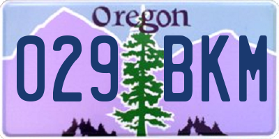 OR license plate 029BKM