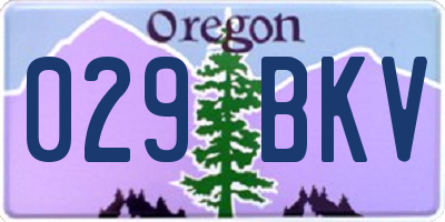OR license plate 029BKV