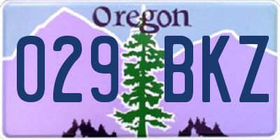 OR license plate 029BKZ