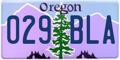 OR license plate 029BLA