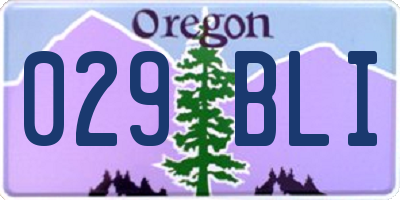 OR license plate 029BLI
