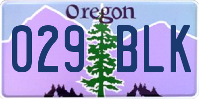 OR license plate 029BLK