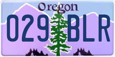 OR license plate 029BLR