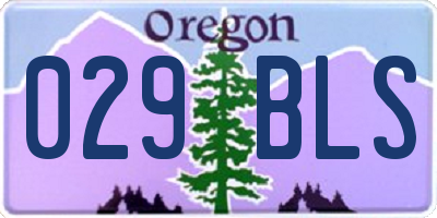 OR license plate 029BLS