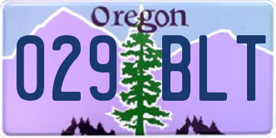 OR license plate 029BLT