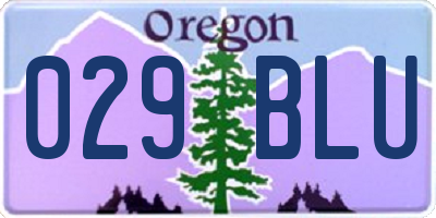 OR license plate 029BLU