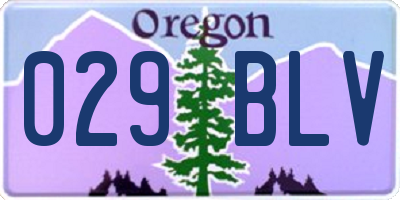 OR license plate 029BLV