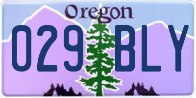 OR license plate 029BLY