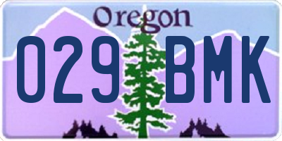 OR license plate 029BMK