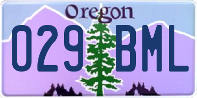 OR license plate 029BML
