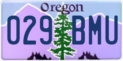OR license plate 029BMU