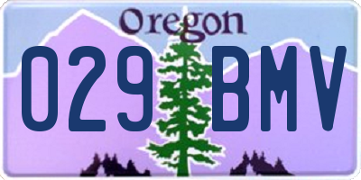 OR license plate 029BMV