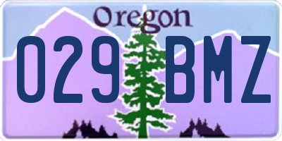 OR license plate 029BMZ