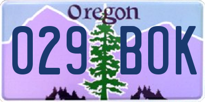 OR license plate 029BOK