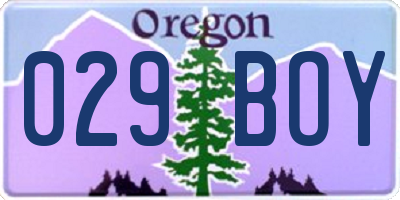 OR license plate 029BOY