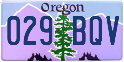 OR license plate 029BQV