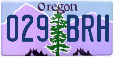 OR license plate 029BRH