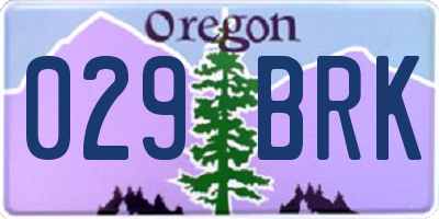 OR license plate 029BRK