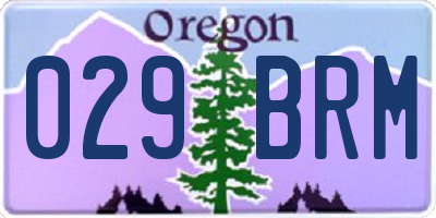 OR license plate 029BRM