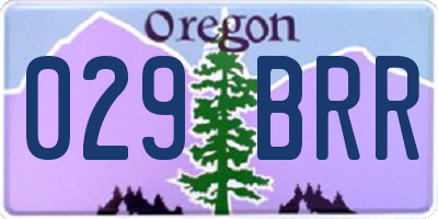 OR license plate 029BRR