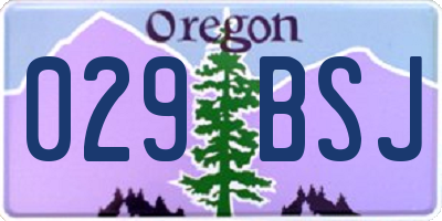 OR license plate 029BSJ