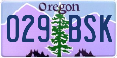 OR license plate 029BSK