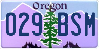 OR license plate 029BSM