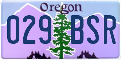 OR license plate 029BSR