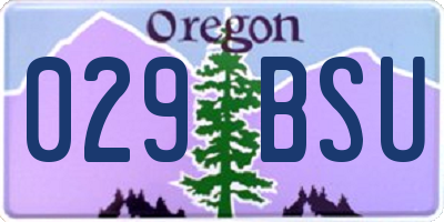 OR license plate 029BSU