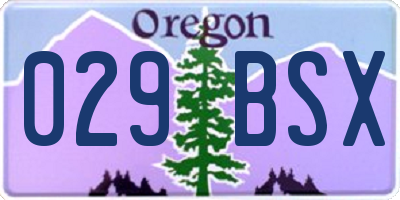OR license plate 029BSX