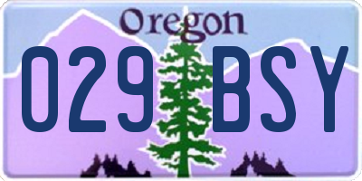 OR license plate 029BSY