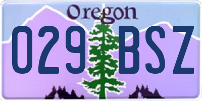 OR license plate 029BSZ