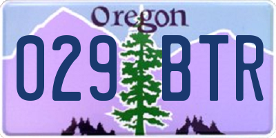 OR license plate 029BTR
